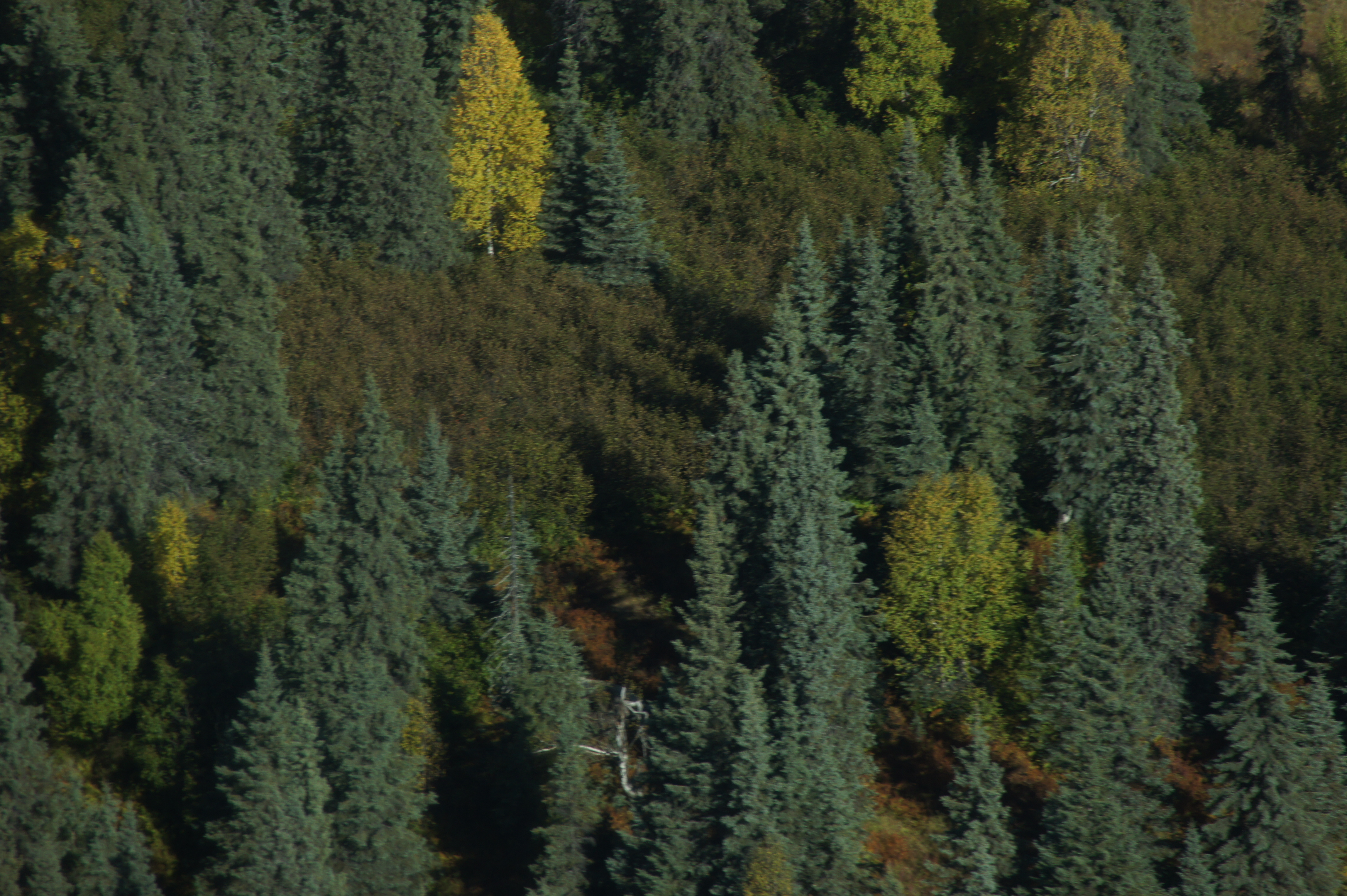 Click to return to the thumbnail index